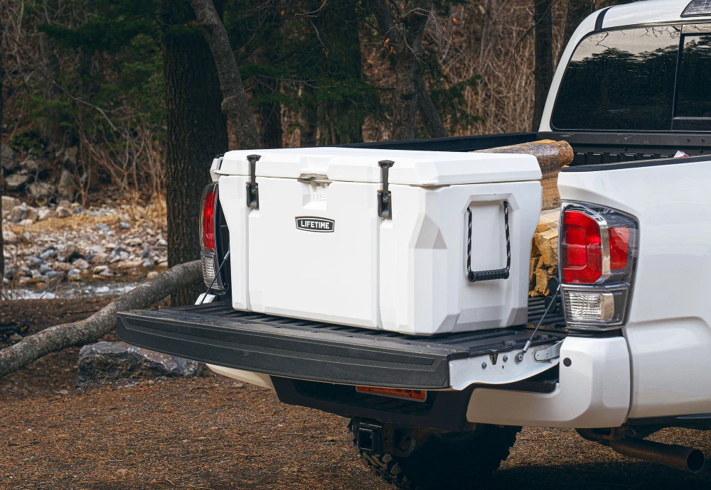 plastic picnic ice cooler box