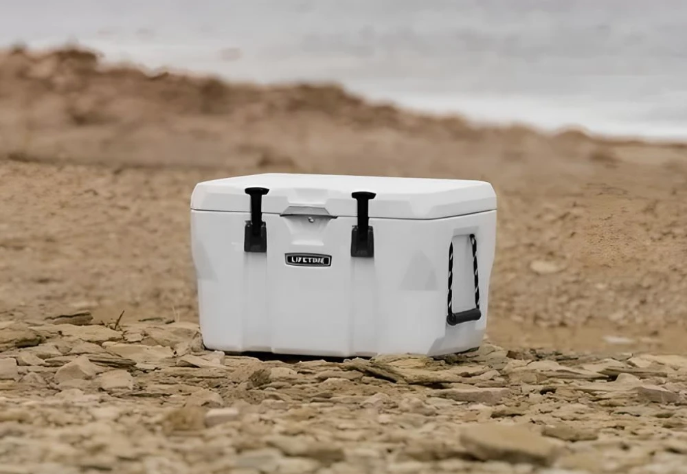 plastic picnic ice cooler box