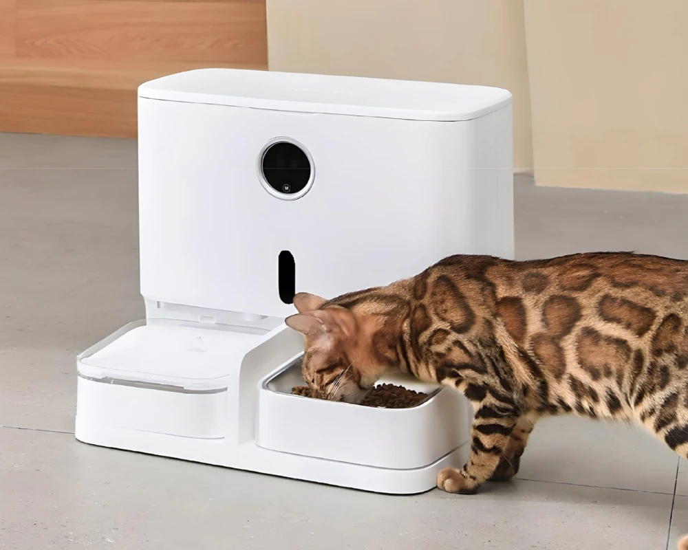 pet feeder with camera